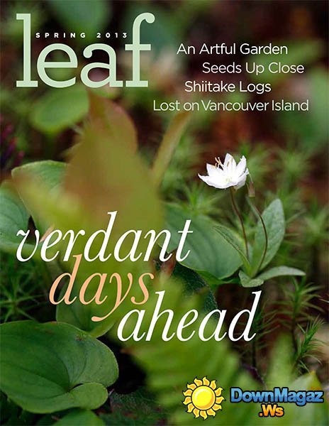 Leaf - Spring 2013 Leaf - Spring 2013