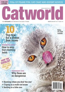 Cat World - 02.2019 Cat World - 02.2019