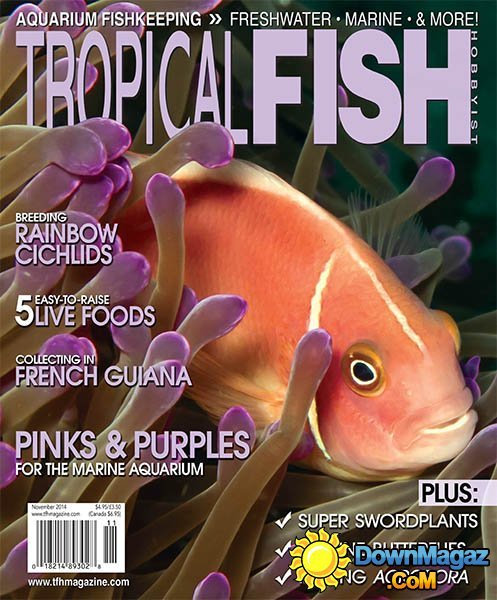 Tropical Fish Hobbyist - November 2014 Tropical Fish Hobbyist - November 2014