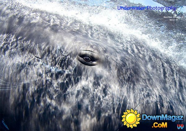 Underwater Photography - November/December 2014 
