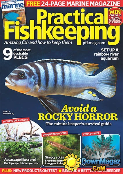 Practical Fishkeeping UK - November 2015