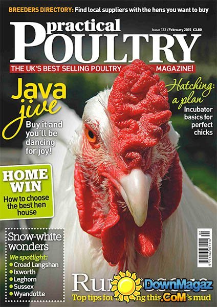 Practical Poultry - February 2015