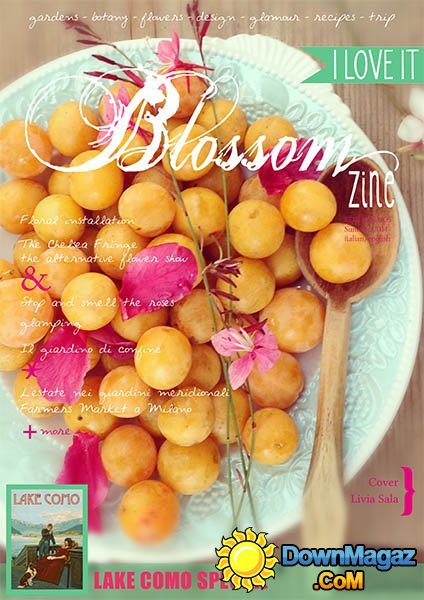 Blossom zine - Edition 5, Summer 2014 Blossom zine - Edition 5, Summer 2014