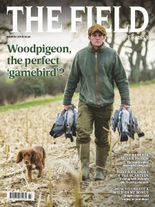 The Field - 03.2019 The Field - 03.2019