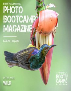 Photo BootCamp - 07.2019