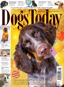 Dogs Today UK - 01.2019 Dogs Today UK - 01.2019