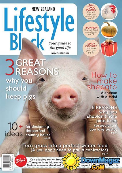 Lifestyle Block New Zealand - November 2014 Lifestyle Block New Zealand - November 2014