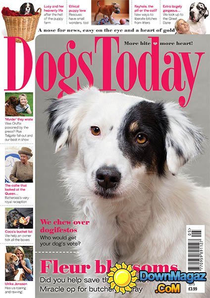Dogs Today - May 2015