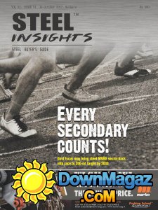 Steel Insights - 10.2017 Steel Insights - 10.2017