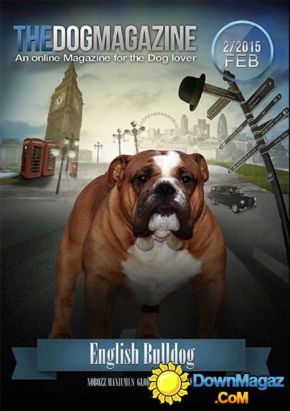 The DOG - February 2015