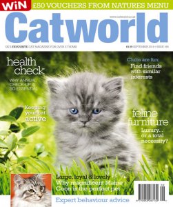 Cat World - 09.2018 Cat World - 09.2018