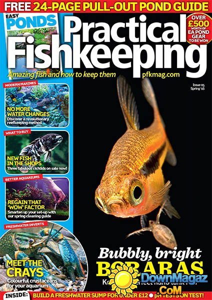 Practical Fishkeeping - Spring 2016 Practical Fishkeeping - Spring 2016