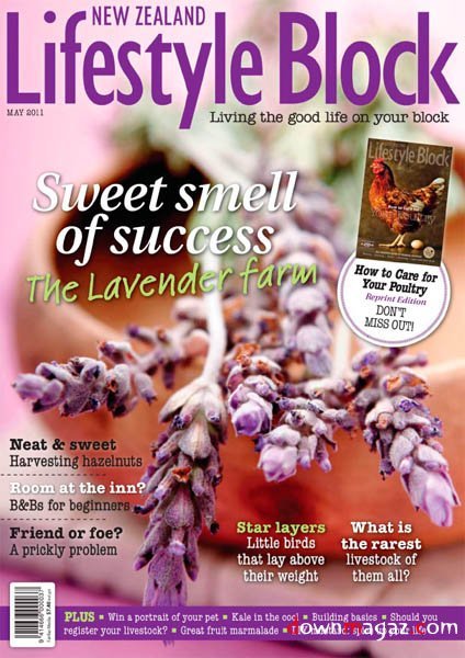 Lifestyle Block - May 2011 / New Zealand Lifestyle Block - May 2011 / New Zealand