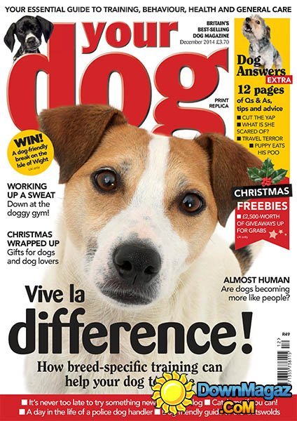 Your Dog - December 2014