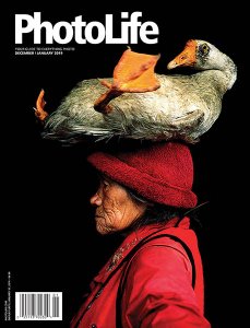 Photo Life - 12/01 2019