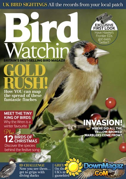 Bird Watching UK – December 2015 Bird Watching UK – December 2015