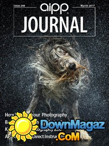 AIPP Journal - 03.2017 