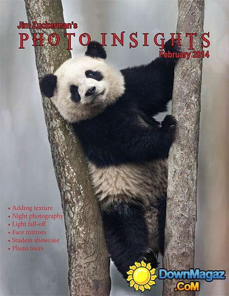 Photo Insights - February 2014