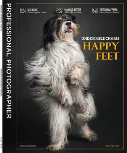 Professional Photographer - 03.2018 Professional Photographer - 03.2018