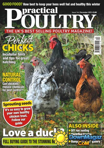 Practical Poultry UK – December 2015 Practical Poultry UK – December 2015