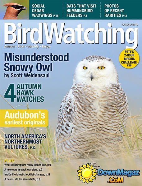 Bird Watching USA - October 2015 Bird Watching USA - October 2015