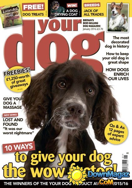 Your Dog UK - January 2016