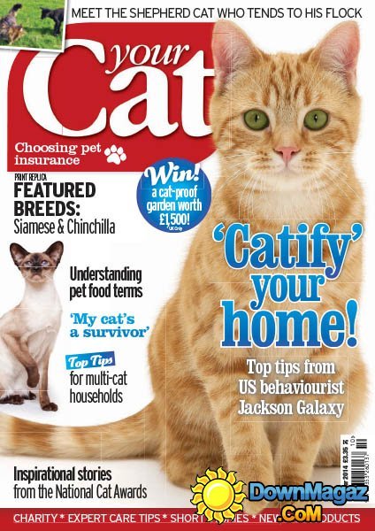 Your Cat – October 2014 Your Cat – October 2014