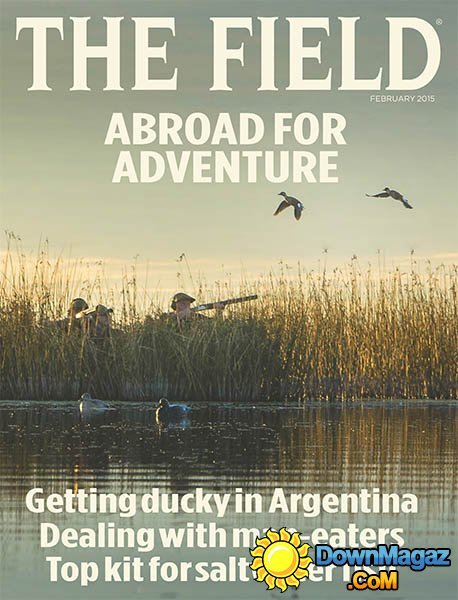 The Field - February 2015