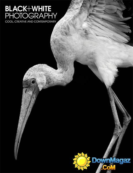 Black + White Photography - August 2014