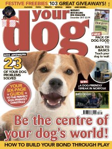 Your Dog - 12.2017 Your Dog - 12.2017
