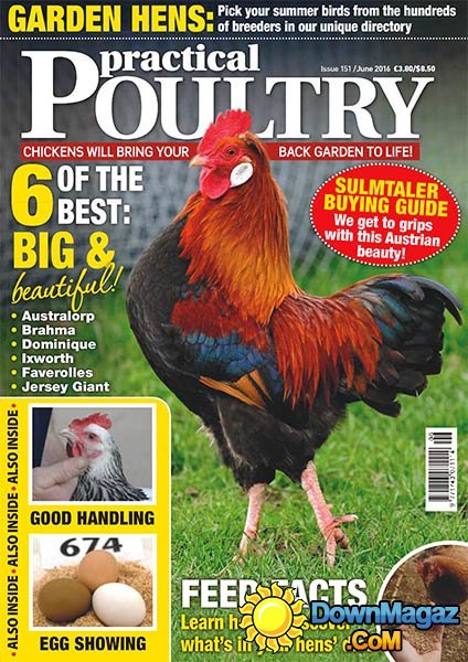 Practical Poultry - June 2016 Practical Poultry - June 2016