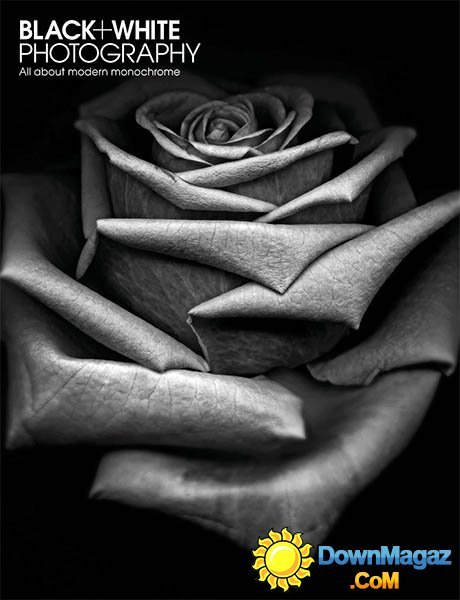 Black + White Photography - November 2013