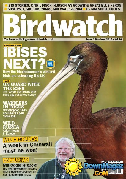 Birdwatch - June 2015