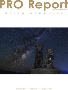 Nzipp Pro Report - 06.2019 Nzipp Pro Report - 06.2019