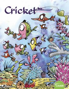 Cricket - 09.2019 Cricket - 09.2019