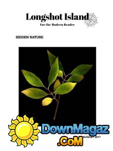 Longshot Island - 08.2017 Longshot Island - 08.2017