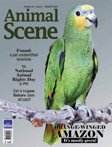 Animal Scene - 08.2018 Animal Scene - 08.2018
