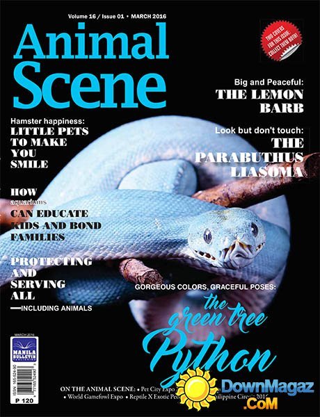 Animal Scene - March 2016 Animal Scene - March 2016