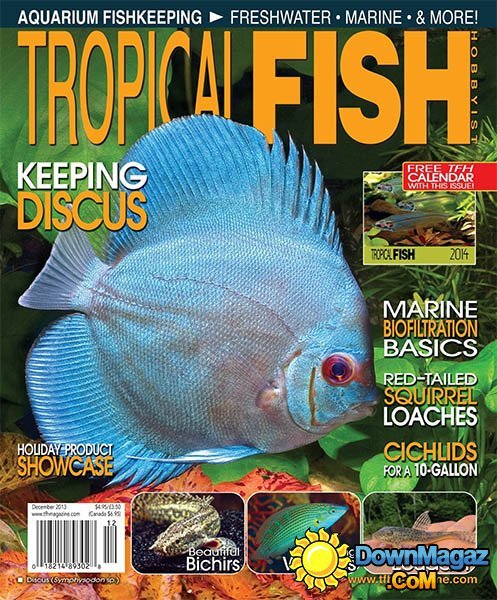 Tropical Fish Hobbyist - December 2013 Tropical Fish Hobbyist - December 2013