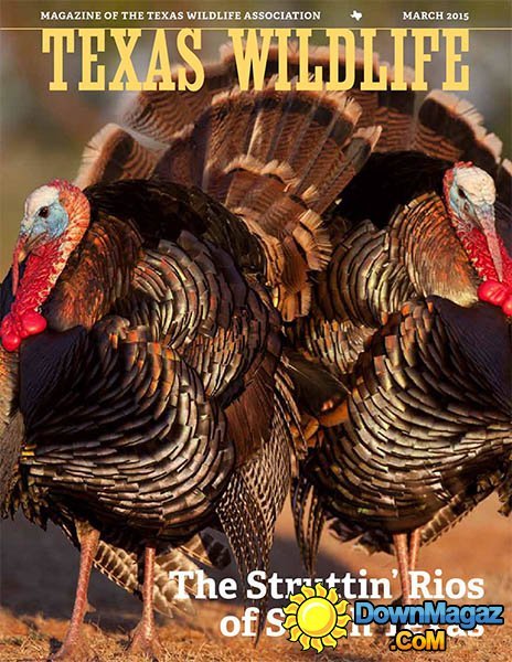 Texas Wildlife - March 2015
