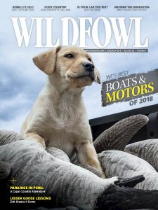 Wildfowl - 06/07 2018 Wildfowl - 06/07 2018