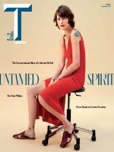 T SG - 12.2017 T SG - 12.2017