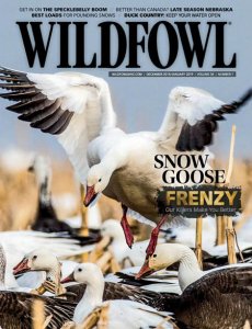 Wildfowl - 12/01 2019 Wildfowl - 12/01 2019