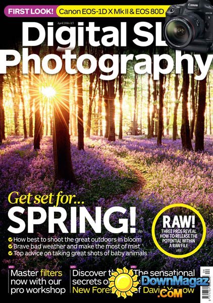 Digital SLR Photography - April 2016