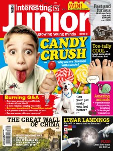 Very Interesting Junior - 04.2018 Very Interesting Junior - 04.2018