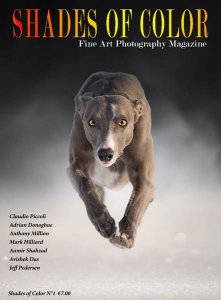 Shades of Color - 28.03.2018 Shades of Color - 28.03.2018