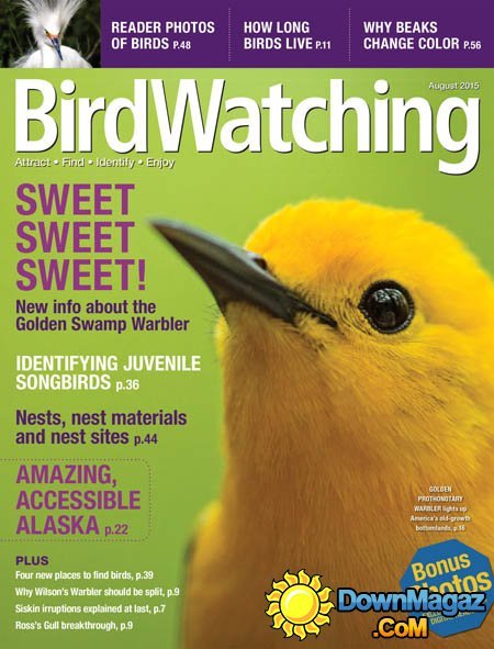 Bird Watching USA - July/August 2015 Bird Watching USA - July/August 2015