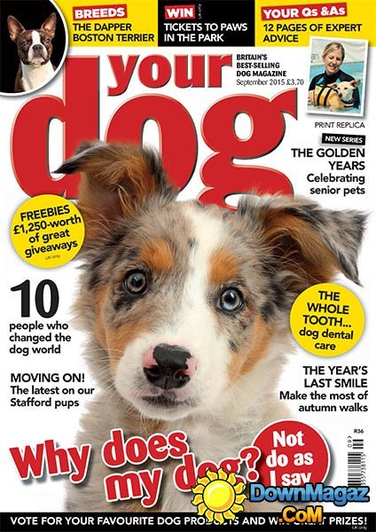 Your Dog UK - September 2015