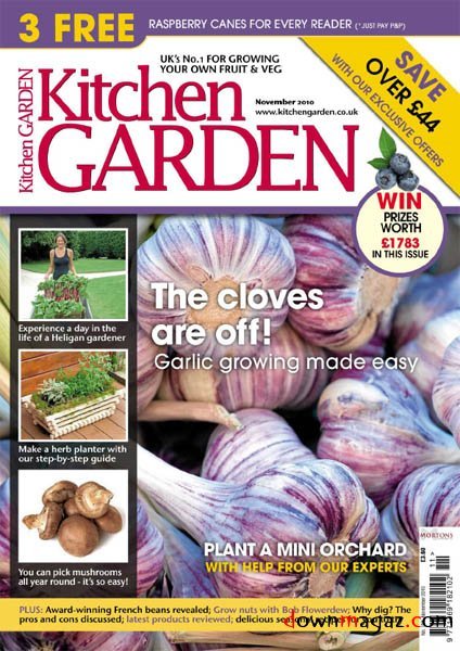 Kitchen Garden - November 2010 Kitchen Garden - November 2010