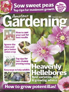 Amateur Gardening - 1.02.2020